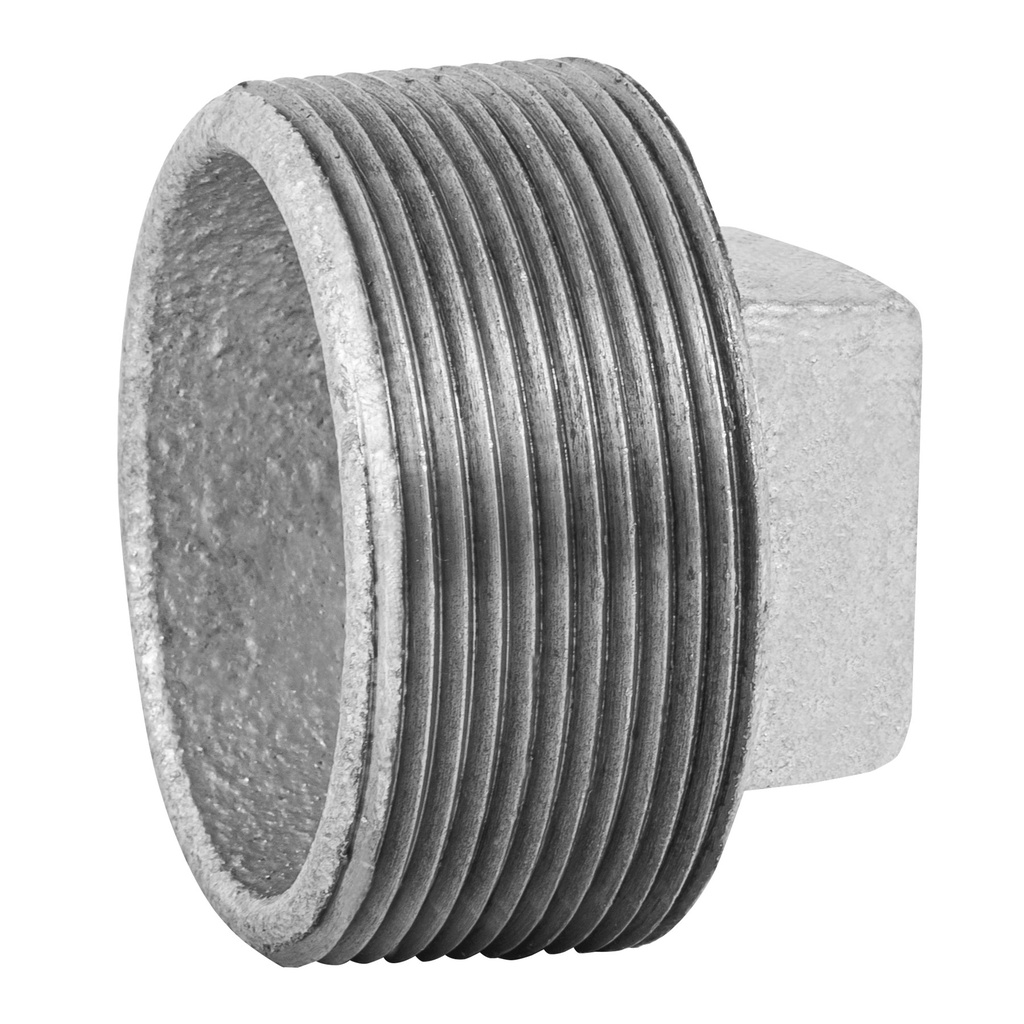 Tapón macho 2' de acero galvanizado, Foset