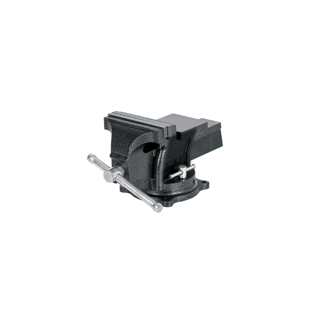 [T26042] Tornillo de banco 5' de hierro gris, Pretul