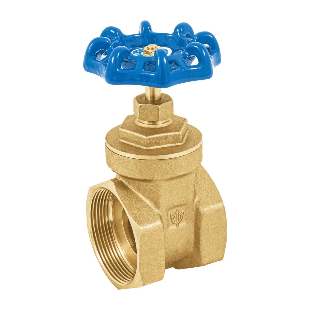 [T49022] Válvula de compuerta de latón roscable de 2', Foset - Pag 536