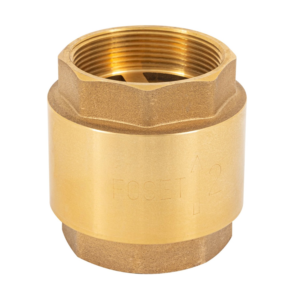 [T49070] Válvula de retención de latón 2', Foset
