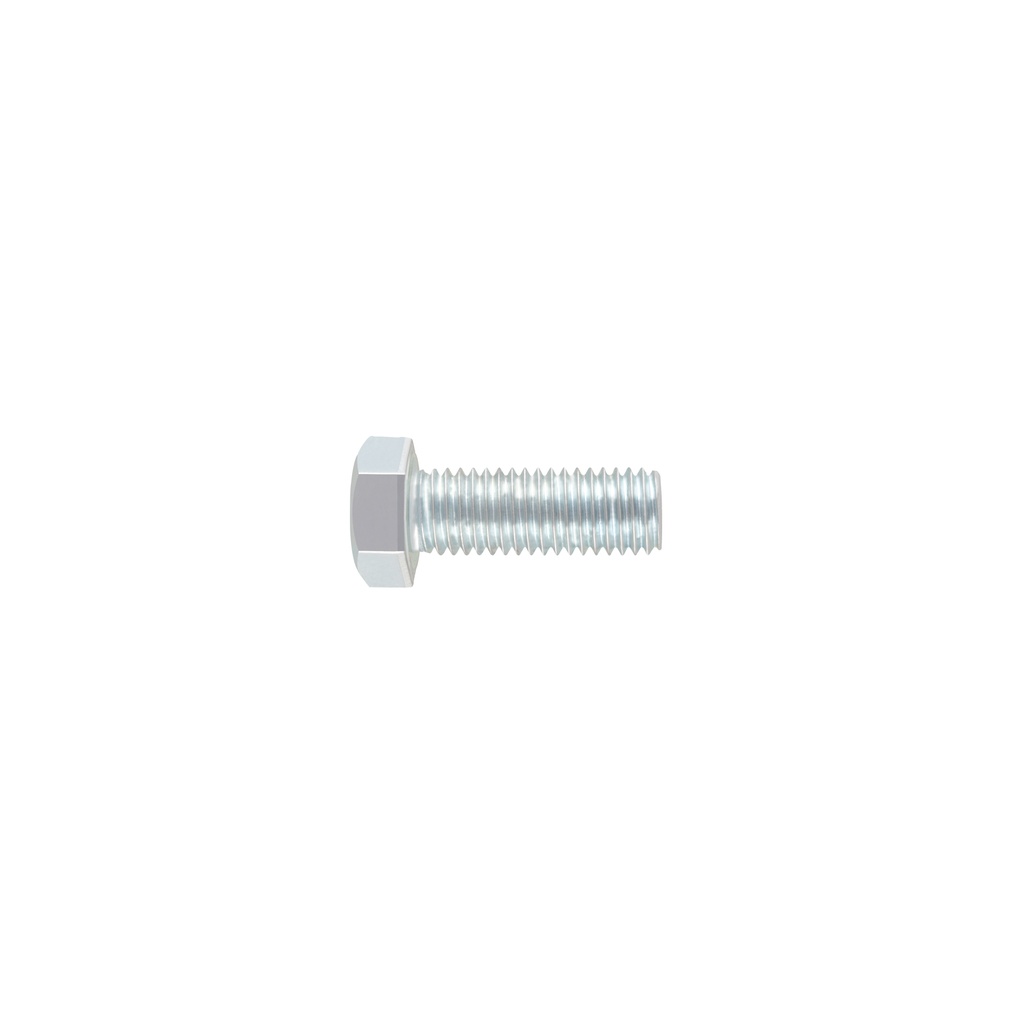 Bolsa con 10 tornillos 5/8' x 1-3/4' tipo máquina, Fiero