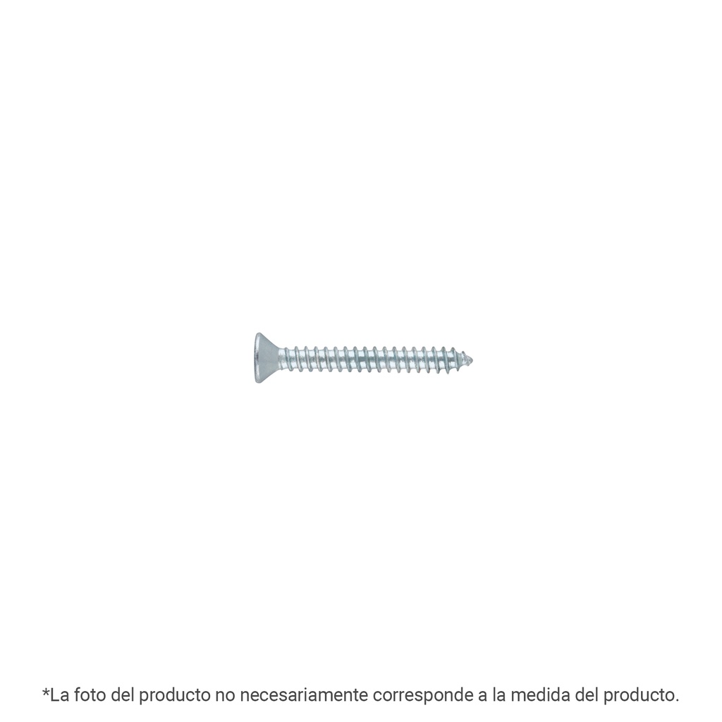 Bolsa 200 pijas para lámina cabeza plana #8 x 1', FIERO