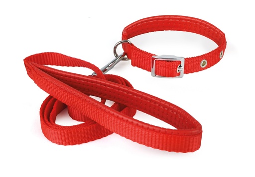 [A632402] COLLARES CON CORREA SOFT L, ROJO