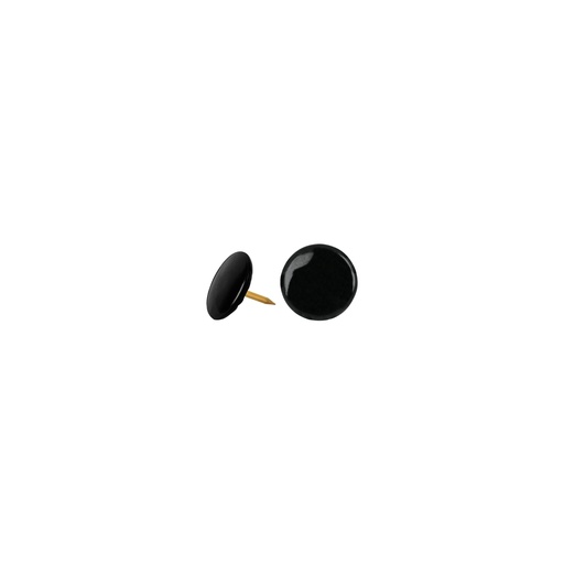 [T41251] Caja con 100 chinches negras, Fiero - Pag 561