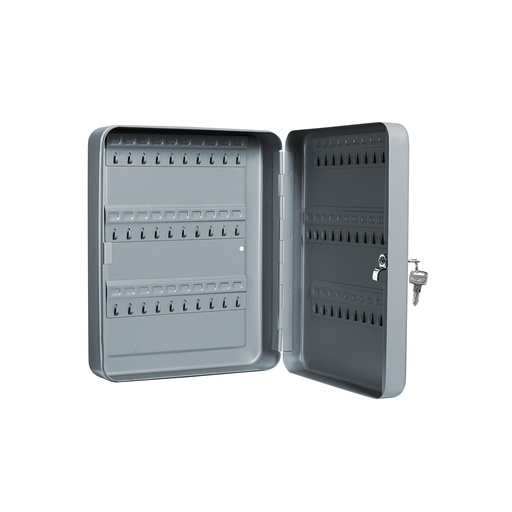 [T43069] Caja con 60 ganchos para llaves, Hermex - Pag 581