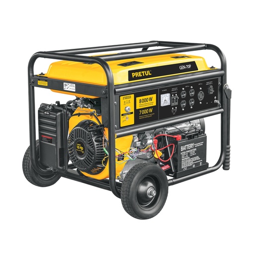 [T26036] Generador portátil 8 kW motor a gasolina, Pretul - Pag 171