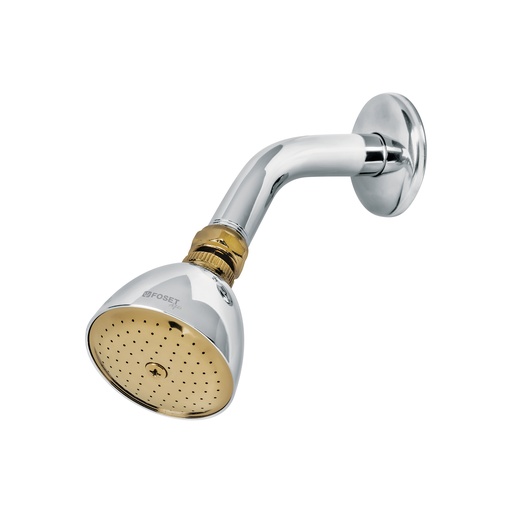 [T49147] Regadera cónica 2-1/2' cromo-oro brazo y chapetón acero - Pag 632